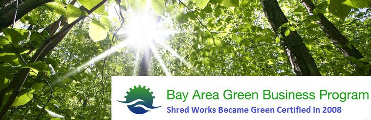 Website-Green-Business-Banner